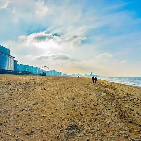 Hertstraat 公寓 奥斯滕德