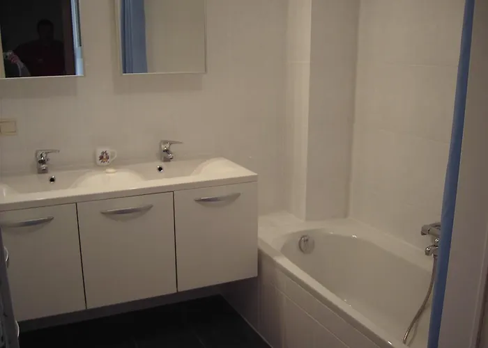 公寓 Hertstraat 奥斯滕德